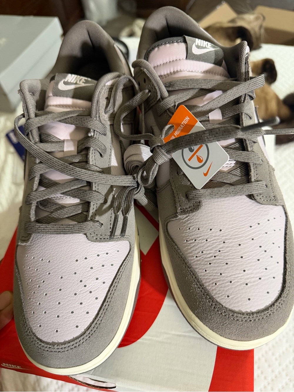 Nike Dunk Low-Top Sneakers